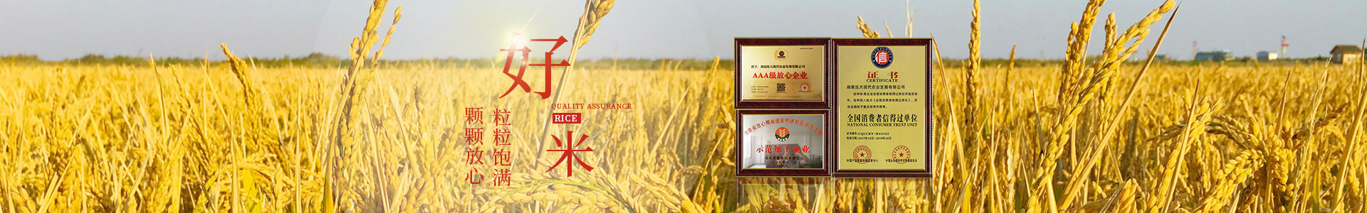 湖南泓天現(xiàn)代農(nóng)業(yè)發(fā)展有限公司